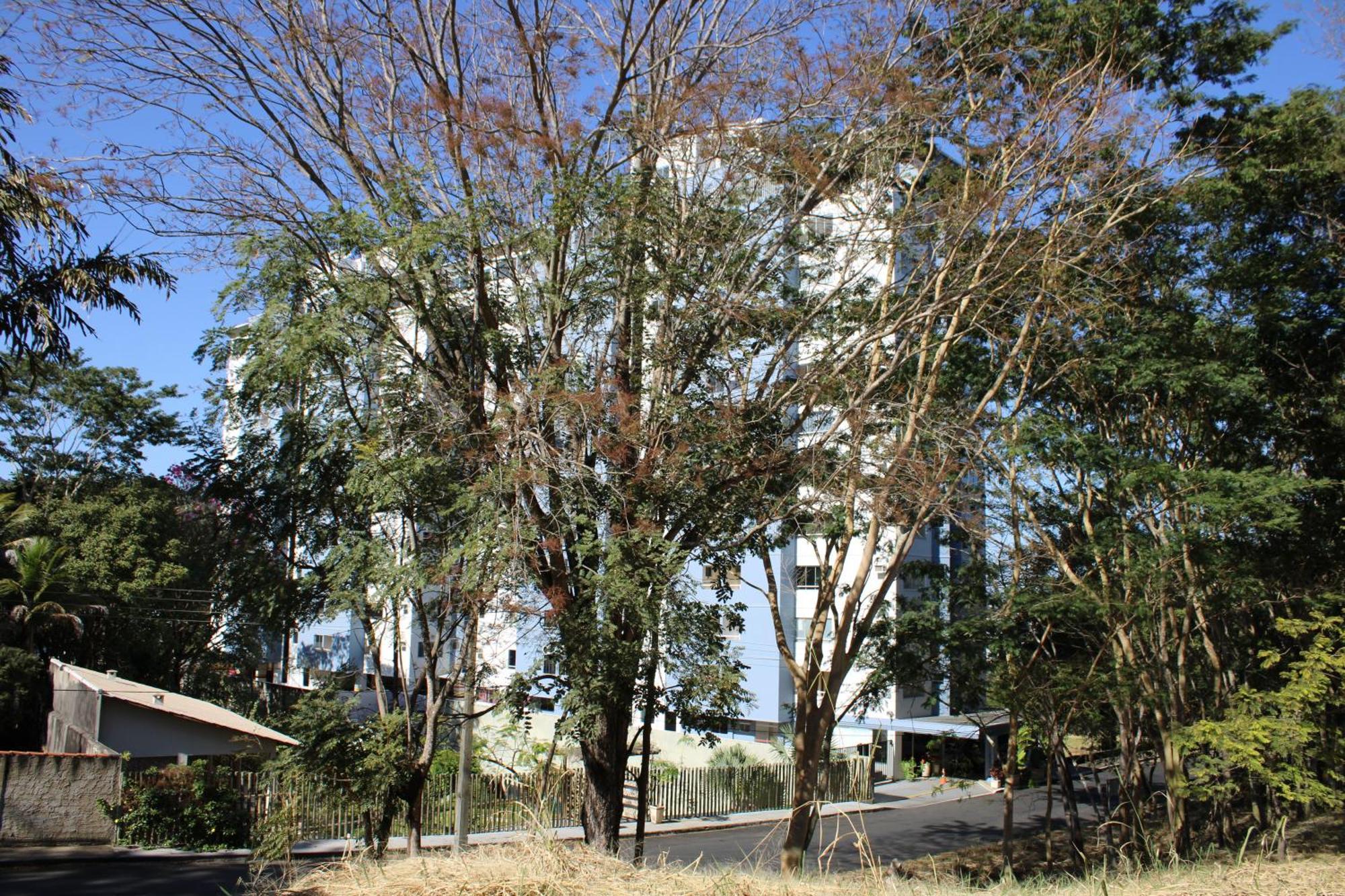 Flat 609-b Hotel